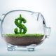 clear piggy bank containing dollar sign
